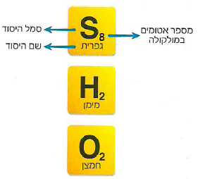 (בספר איור, היעזר במנחה)
